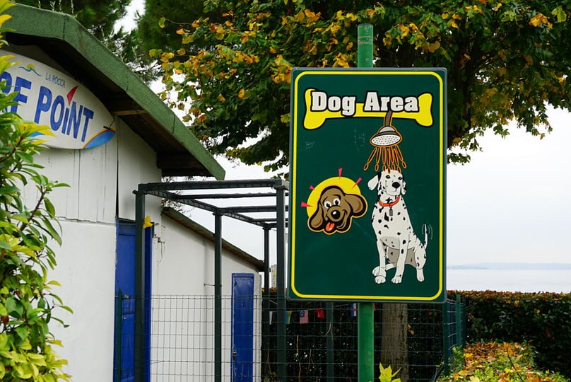 Dog Area