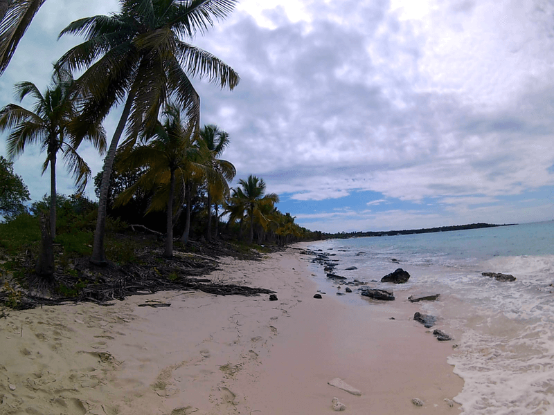 Isla Catalina