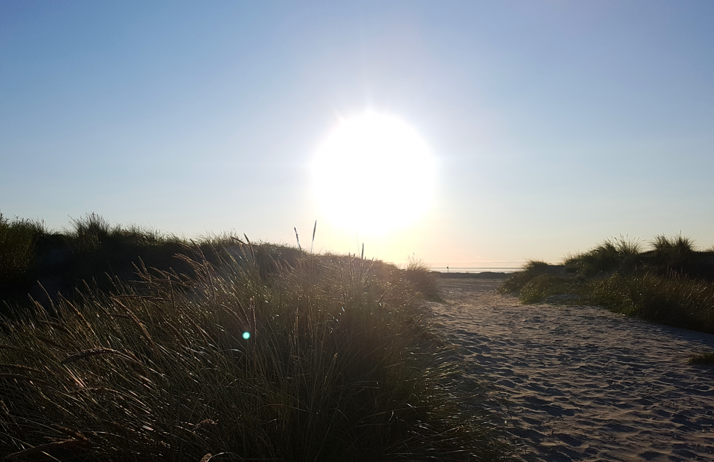 Life is better at the beach