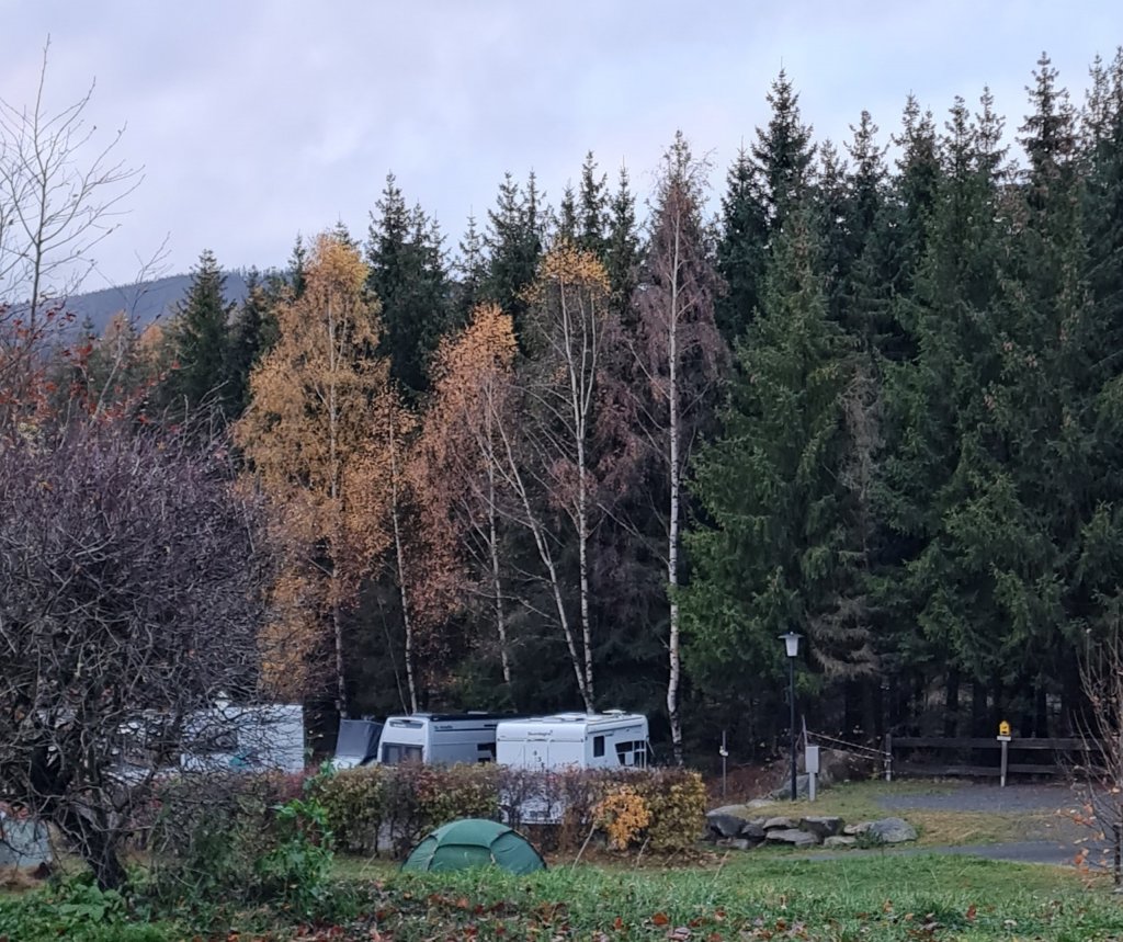 Harz-Camping am Schierker Stern